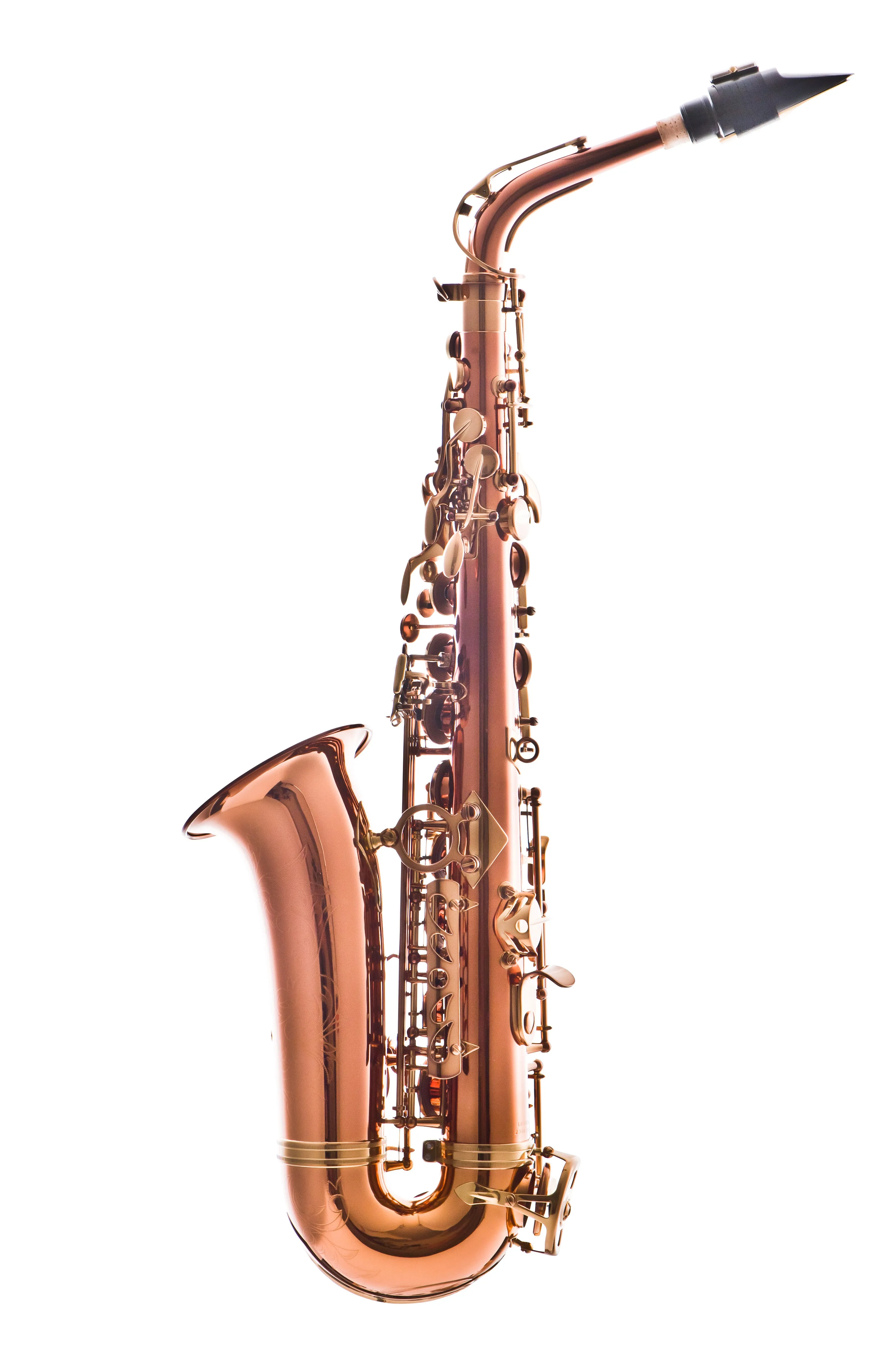 Leblanc LAS711DL  Premiere Alto Sax - Dark Bronze Lacquer