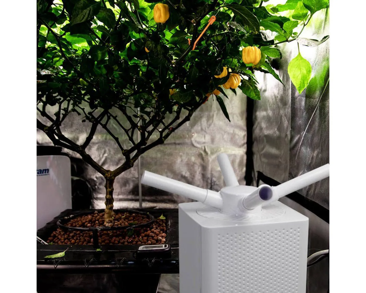 Sonic Air 10L Humidifier