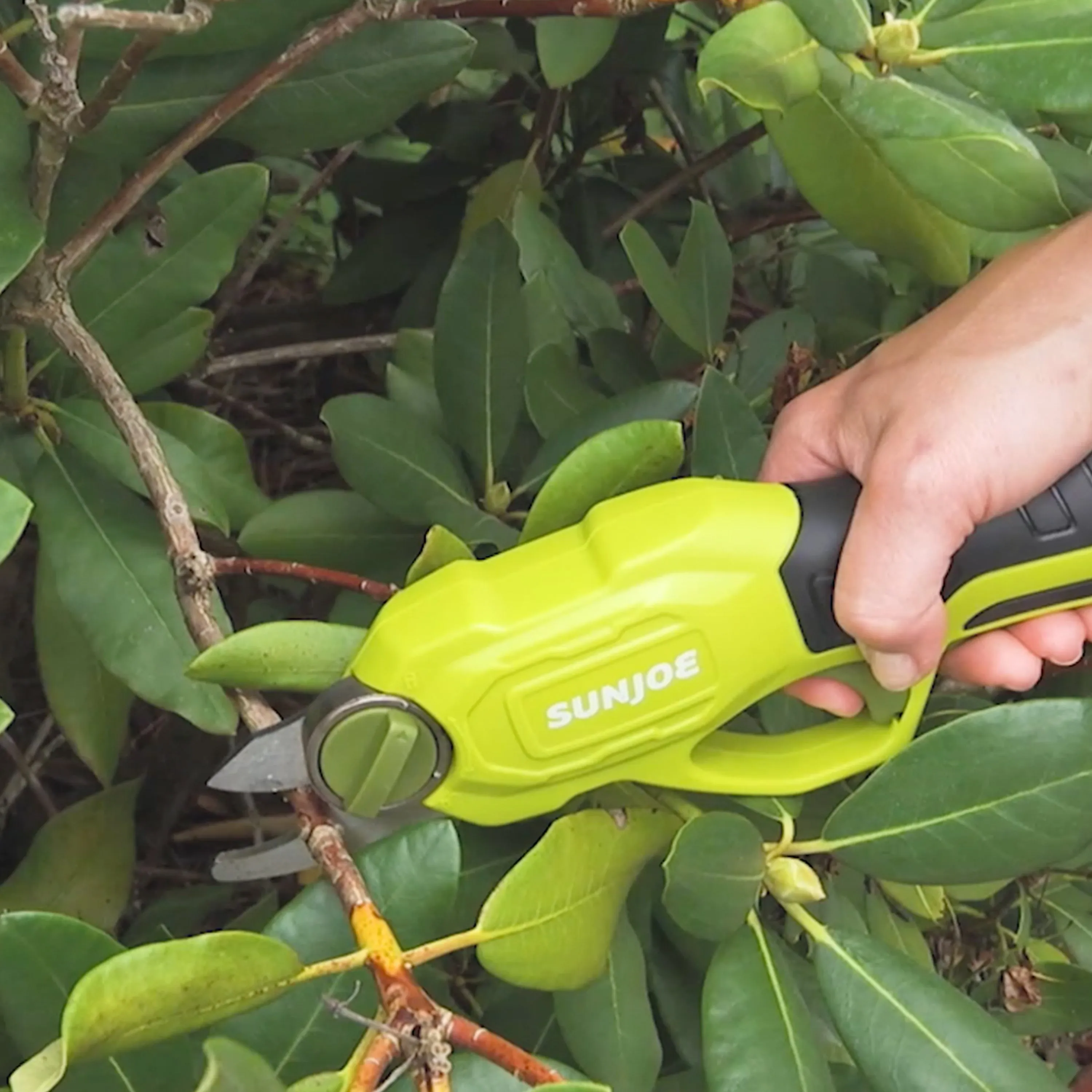 Sun Joe PJ3600C Cordless Rechargeable Power Pruner | 3.6 V | 2000 mAh | 0.6 Sec Rapid Cutting